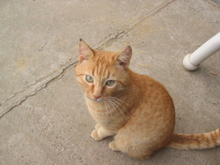 sdf (6)