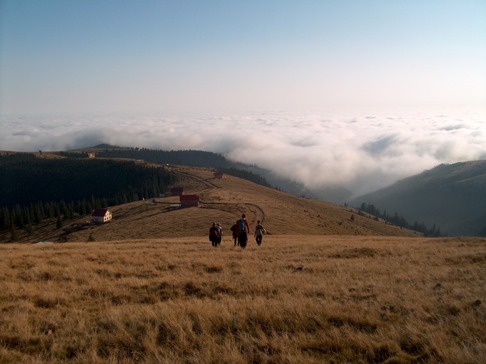 VARFUL URSU 25.10.2009 448