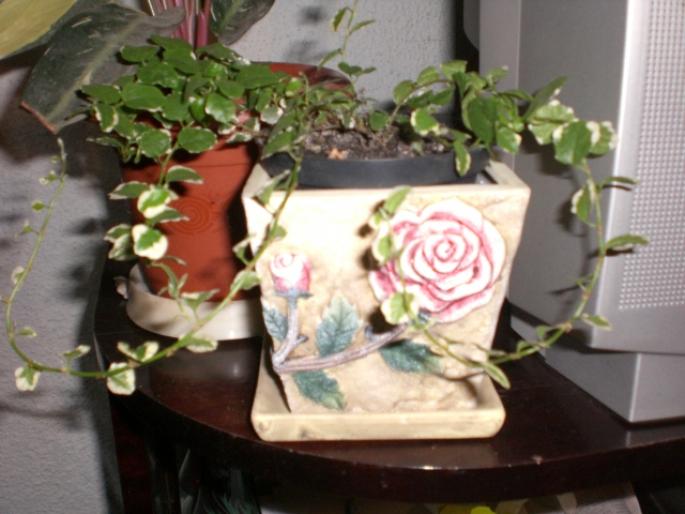 aug 2008 033