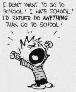 hate school - ce inseamna scoala