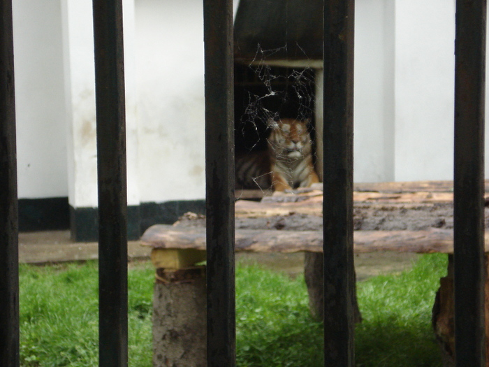 Picture 049 - zoo targoviste