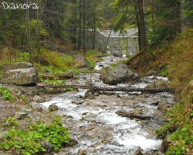 cascada urlatoarea14 - Cascada Urlatoarea