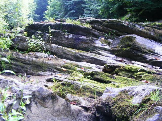 DSCF5104
