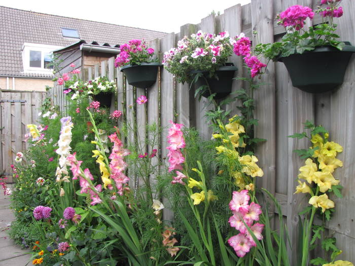 gr.sp. 29 iul 2009 (2)