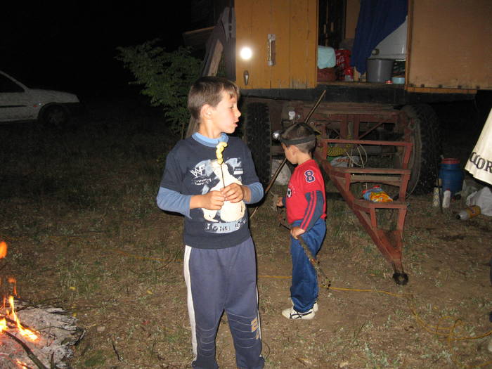 IMG_3449 - salcim I si II 2009