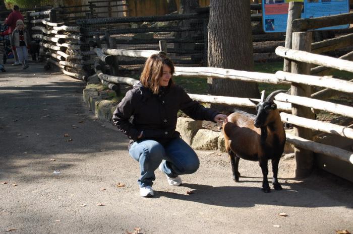 DSC_0087 - zoo amneville