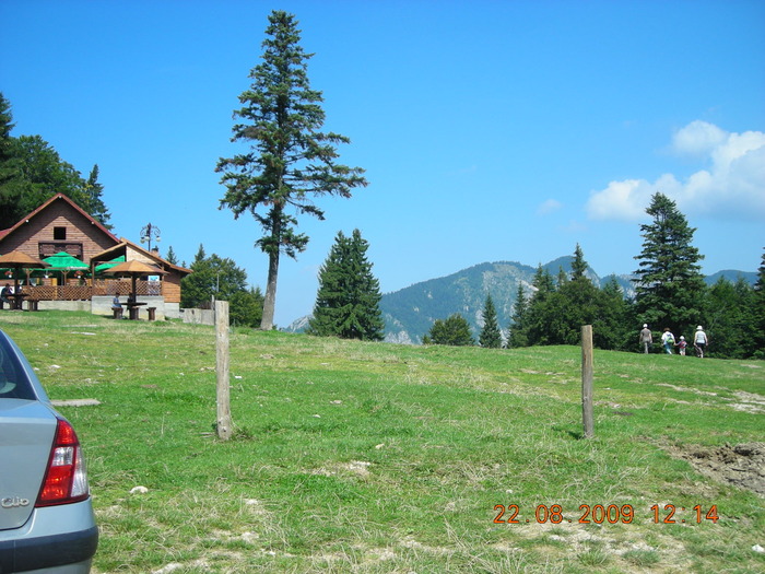 DSCN9300 - Sinaia 23 08 2009