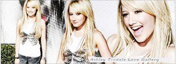 3638088_std - Poze HSM