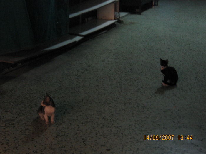 IMG_0368 - 2007 - atena - continuare