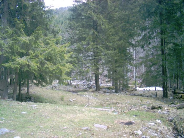 04120056 - Iezer-Papusa