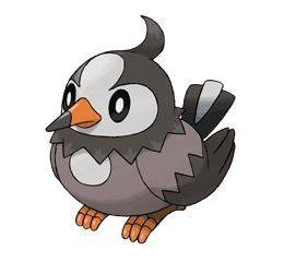 396starly