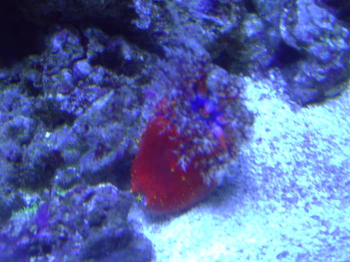 PICT0122 - EXCURSIE  in DELTA