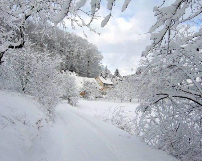 Poze Desktop de Iarna Imagini Zapada Omat Ninsoare - poze iarna craciun
