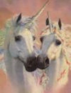 doi unicorni indragostiti - UNICORNI