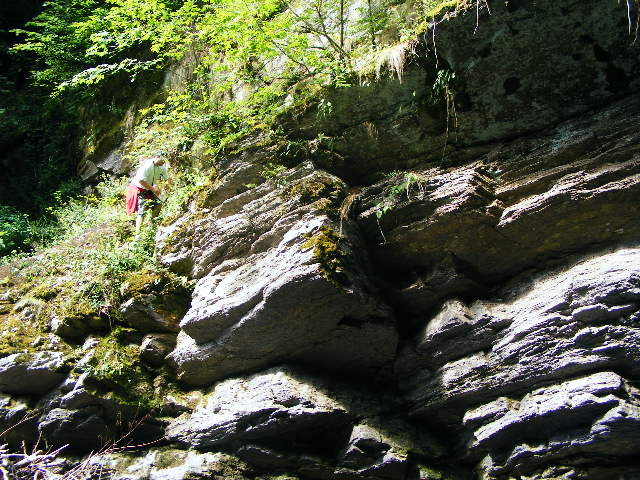 DSCF5223