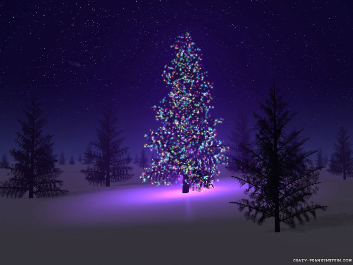 beautiful-christmas-tree - Christmas