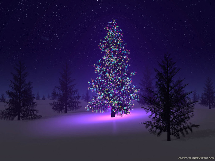 beautiful-christmas-tree