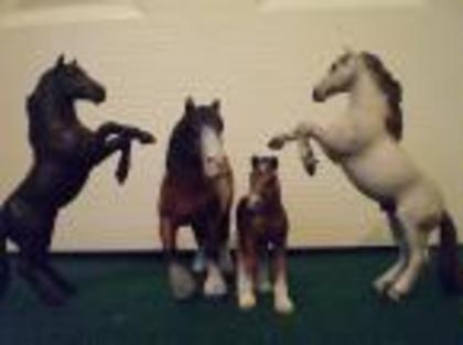 set schleich - SCHLEICH