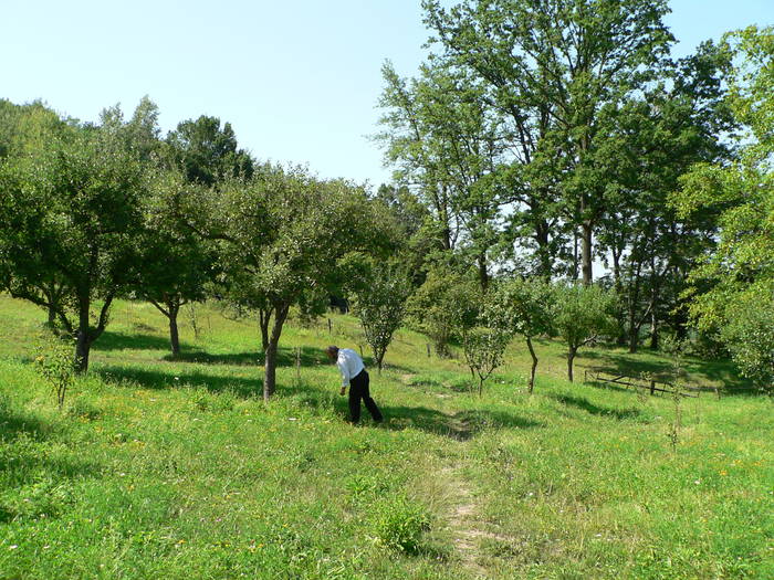 P1050472 - 2009 24-25 07 MANASTIREA DINTR-UN LEMN SI MANASTIREA CURTEA DE ARGES