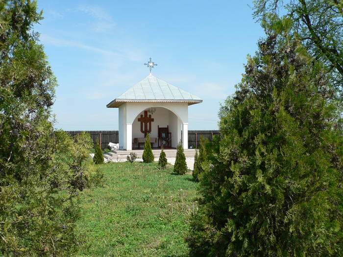 P1050015 - 2009 mai-manastirea baldana-caldarusani-sitaru