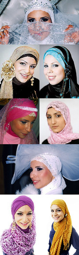 beautiful hijabi (169)