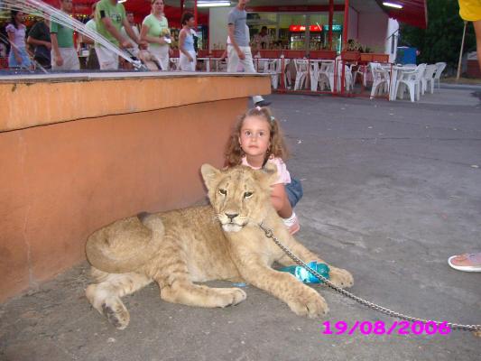 Miruna cu leul 1