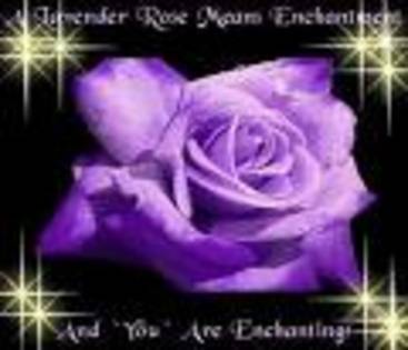 ERTE - Purple rose