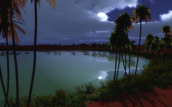 Oasis_1280 - 171 - Nature Wallpapers