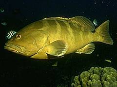 107 - poze muuuuuuuuuuuuuulte