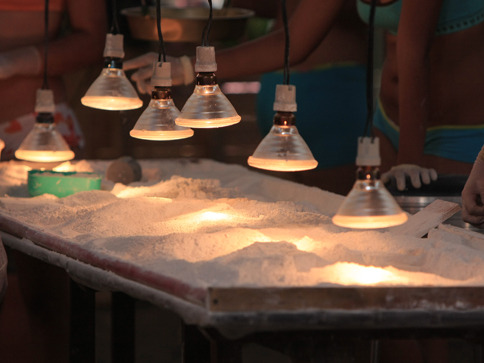 labora6___484x363