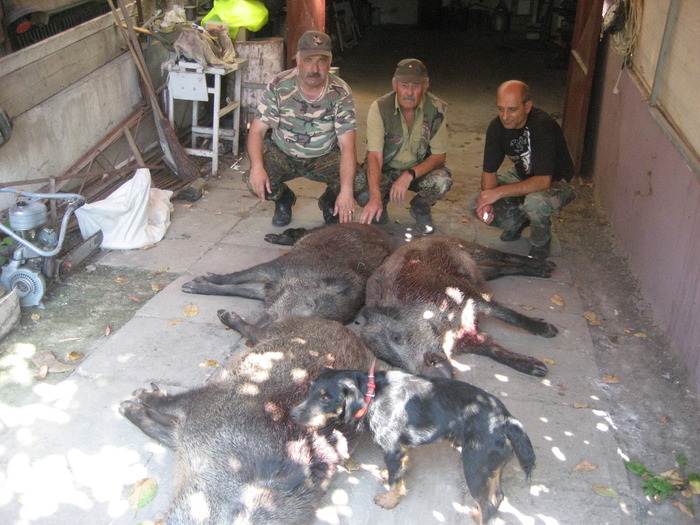 IMG_4196 - 2009-2010 Stolna Cluj