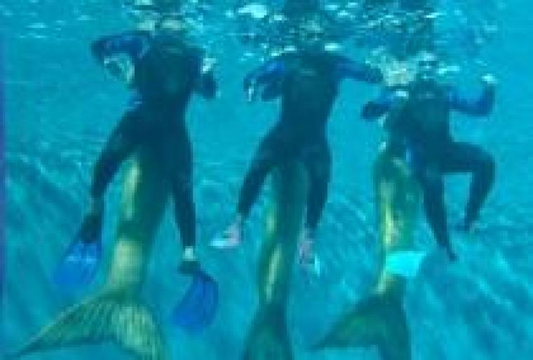 ajutor pt sirene - MA NUMESC CARIDA HEINE DIN H2O H2O