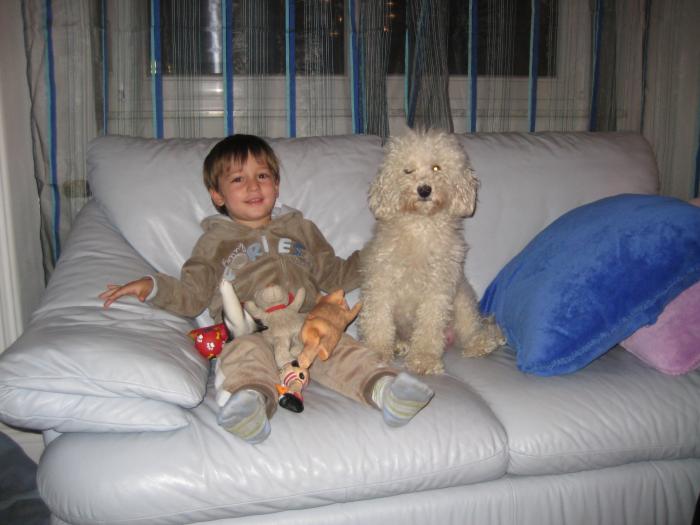 Alex si Nini - Cateii