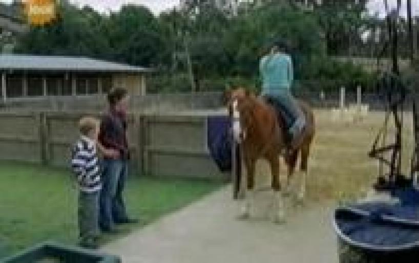 PRCENBMZUWUFDGUXEDY - H2O