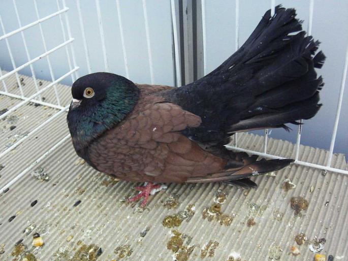 orb ts 4 - 1502 partea 3