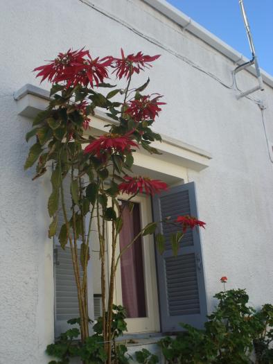 Picture 168; Larnaca
