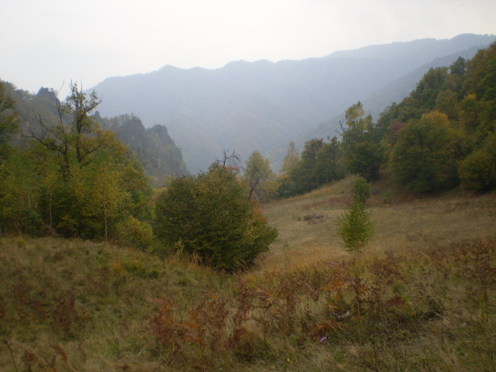 VALEA CALINESTI-PIETRELE ZMEILOR 11.10.2009 135 - VALEA CALINESTI-GROTA PIETRELE ZMEILOR