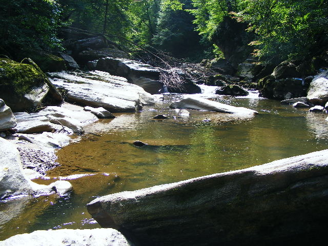 DSCF5217