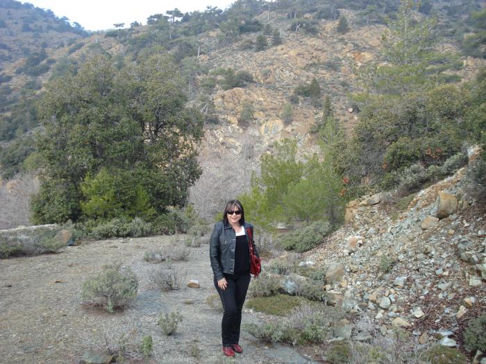 Picture 667; Muntii Troodos
