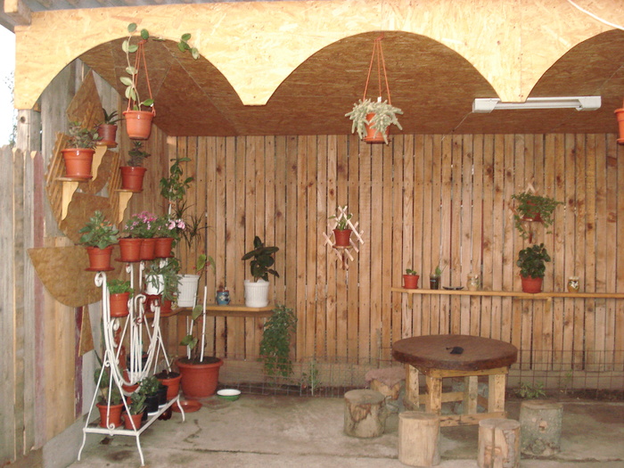 DSC09816