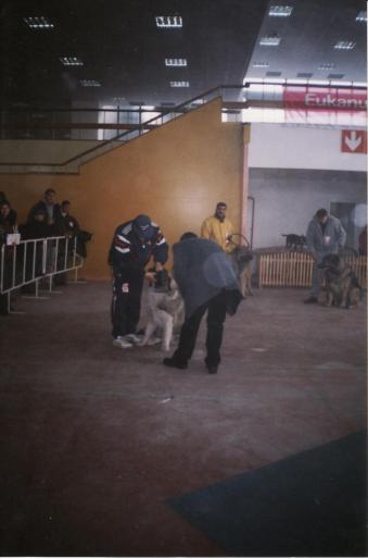 BUCURESTI-HAIDUC-2004-CAC