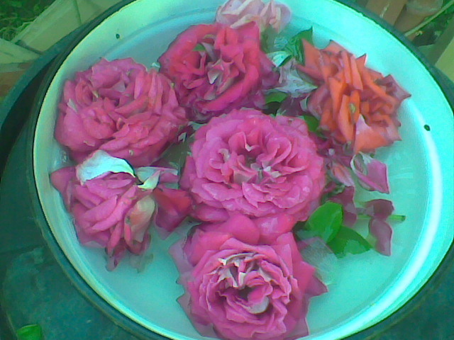 Imag016