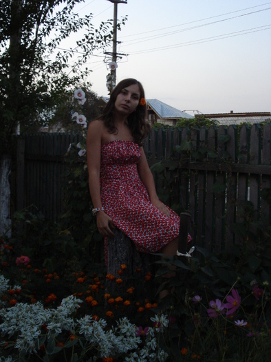  - CRISTINA MEA