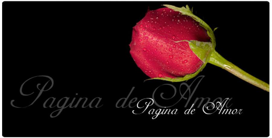 ai132386n440454 - animale si flori