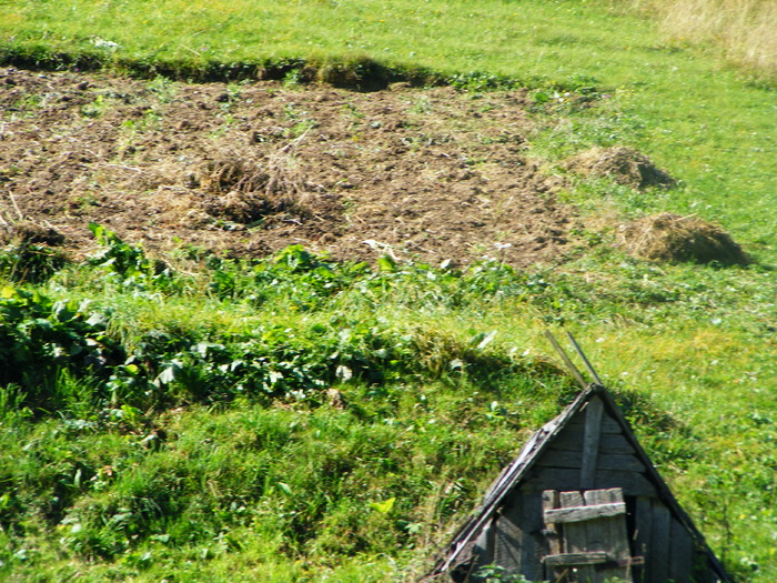 DSCF6276 - muntii Rodnei