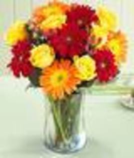 images_9