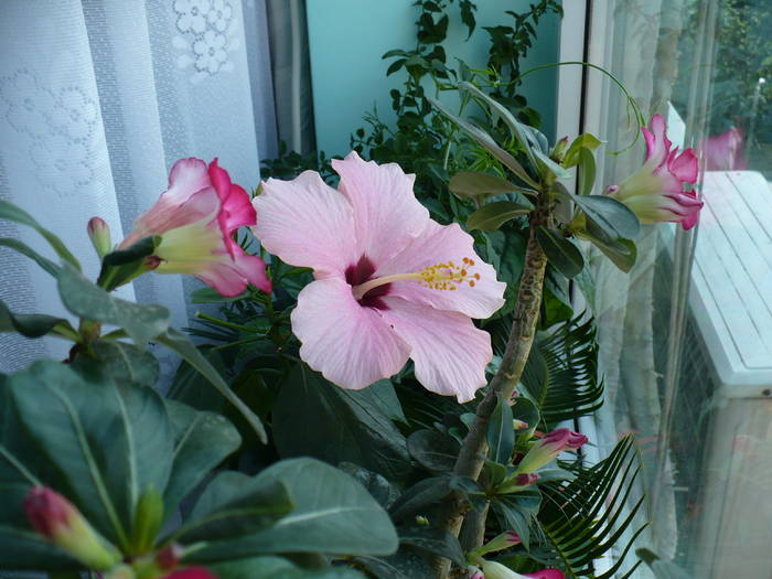 P1120619