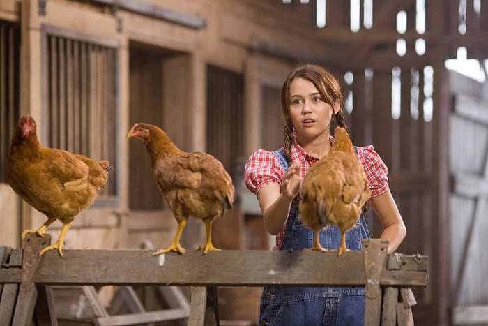 miley-cyrus_COM-hannahmontanathemovie-stills031