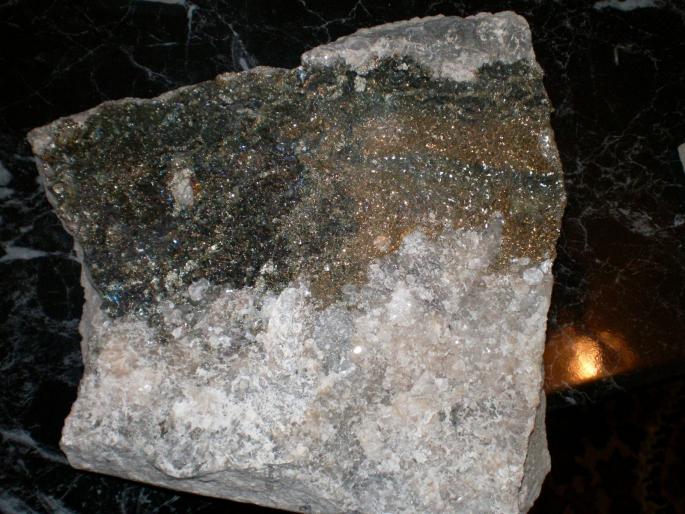 minerale - ADY_O-FOSILE-DINTI DE RECHIN  FOSILIZATI VECHI DE PESTE 50MIL ANI