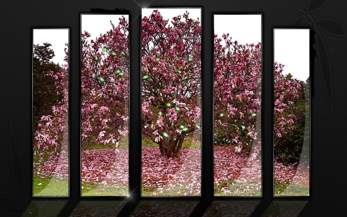 Crystal_nature - 171 - Nature Wallpapers
